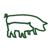 Icon Wachstum Ferkel